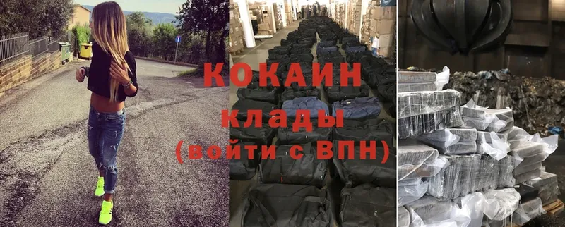 COCAIN Fish Scale  где можно купить   Поронайск 