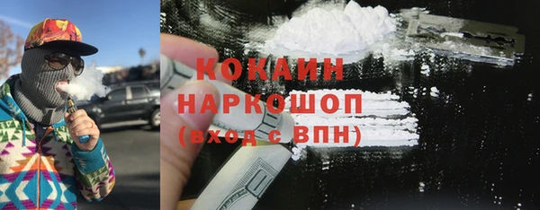 мяу мяу кристалл Няндома