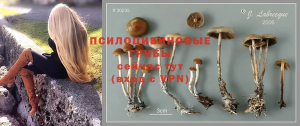 твердый Нягань