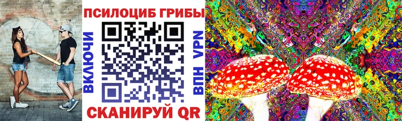 Галлюциногенные грибы мицелий  где найти наркотики  Поронайск 