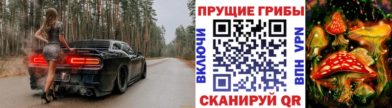 Галлюциногенные грибы прущие грибы Поронайск